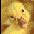 user 0